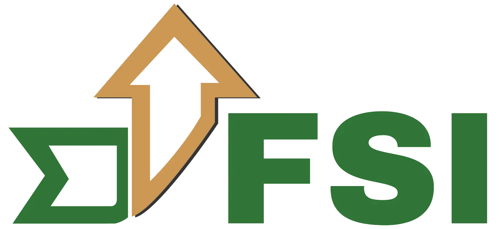 FSI Logo